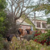 Отель Midlands Inverness Cottages, фото 11