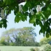 Отель Little Clatterford Walkers Paradise for 2 Close to Carisbrooke Castle, фото 24