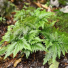 Отель Duplex la rivière, фото 25