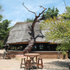 Отель Kande Beach Resort, фото 13