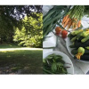 Отель Civenna Home & Garden, фото 12