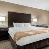 Отель Quality Inn & Suites, фото 16