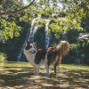 Отель Pousada Cachoeira Lagoa Azul, фото 14