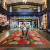 Отель Holiday Inn Arlington NE-Rangers Ballpark, an IHG Hotel, фото 14