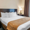 Отель Comfort Suites Fort Wayne - Southwest, фото 3