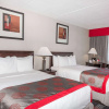 Отель Ramada Plaza by Wyndham Albany, фото 5
