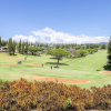 Отель Kapalua Golf 14T - 1 Br Villa, фото 15
