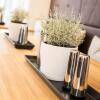 Отель Burghotel Lingen, фото 12
