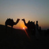 Отель Tripvillas @ Desert Safariors Jaisalmer, фото 4