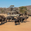Отель Valamanzi Lodge, фото 20