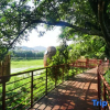 Отель Jingdezhen Yuli Scenic Area Countryside Ant Homestay, фото 4