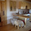 Отель Zabljak Panoramic View Lodge, фото 18