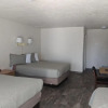 Отель Little Daisy Motel, фото 14