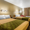 Отель Econo Lodge Bowling Green, фото 5