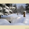 Отель Landhaus Mühle Schluchsee, фото 4