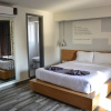 Отель Perla Central Hotel, фото 29