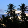 Отель Bayahibe Guest House Hotel & Apartments, фото 18