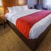 Отель Comfort Inn & Suites, фото 24