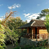 Отель El Sabanero Eco Lodge, фото 7