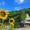 Отель Shiobara Onsen Masudaya, фото 19