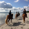 Отель Feddet Strand Resort, фото 24