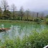 Отель Yongle Ecological Hostel, фото 6