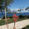 Отель Floreica Maisonneta By the Sea., фото 17
