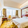 Отель Vienna Hotel (Zhongshan Ancient Town Center), фото 8
