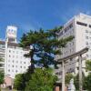 Отель Matsue New Urban Hotel Annex в Мацуэ