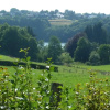 Отель Au Bord du Lac B Tgenbach, фото 15