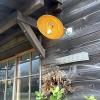 Отель Biwako Makino Hifumikan Guest House, фото 1
