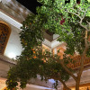 Отель Riad Shajara, фото 1