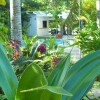 Отель Rarotonga Daydreamer Escape, фото 41