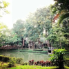 Отель Bhupimarn Garden House, фото 24