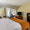 Отель Comfort Inn & Suites, фото 14