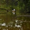 Отель La Laguna del Lagarto Eco-Lodge, фото 19