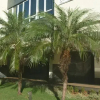 Отель Apartamento Alto Luxo, фото 1