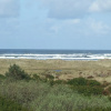 Отель Comfort Inn & Suites Ocean Shores, фото 24