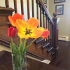 Отель Queen Anne Bed And Breakfast, фото 15