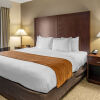Отель Comfort Suites Springfield RiverBend Medical, фото 7