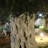 Отель Idavilla Hotel, фото 1