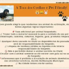 Отель Toca Dos Coelhos Carrancas, фото 4