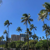 Отель Waikiki Heritage Hotel, фото 8