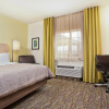 Отель Candlewood Suites Fort Campbell - Oak Grove, an IHG Hotel, фото 21