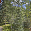 Отель Riverfront Silverthorne Condo w/ Balcony & Grill!, фото 13