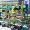 Гостиница Resort Kedroviy Bor в Цветочный