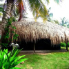 Отель Las Palmeras, фото 25