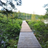 Отель Chalets Alizée - Lac Walfred, фото 12