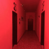 Отель Stupido Hotel, фото 8
