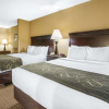 Отель Comfort Suites Wisconsin Dells Area, фото 4